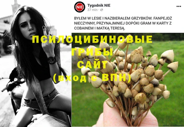 мет Алзамай