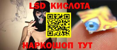 крисы Шахты