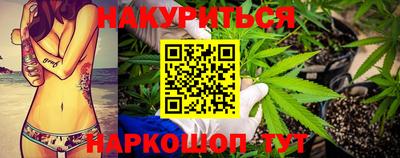 сатива Шебекино
