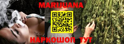 сатива Шебекино