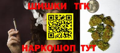 крисы Шахты