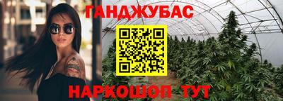 крисы Шахты