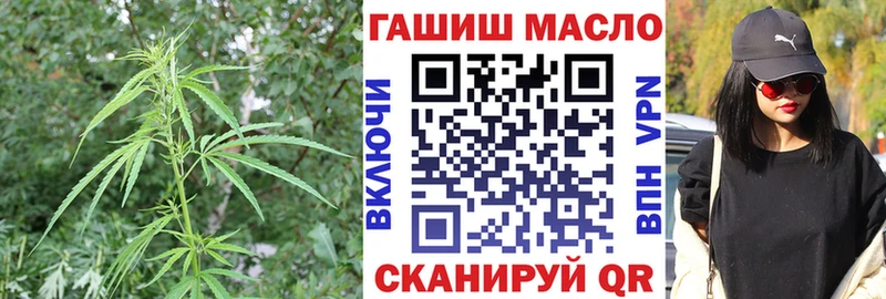 Дистиллят ТГК гашишное масло  купить наркотик  Алексеевка 