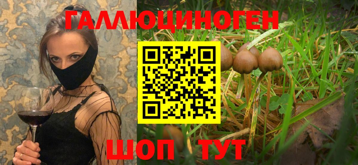 Алексеевка  Псилоцибиновые грибы GOLDEN TEACHER  Вход с VPN  Галлюциногенные грибы ЛСД 