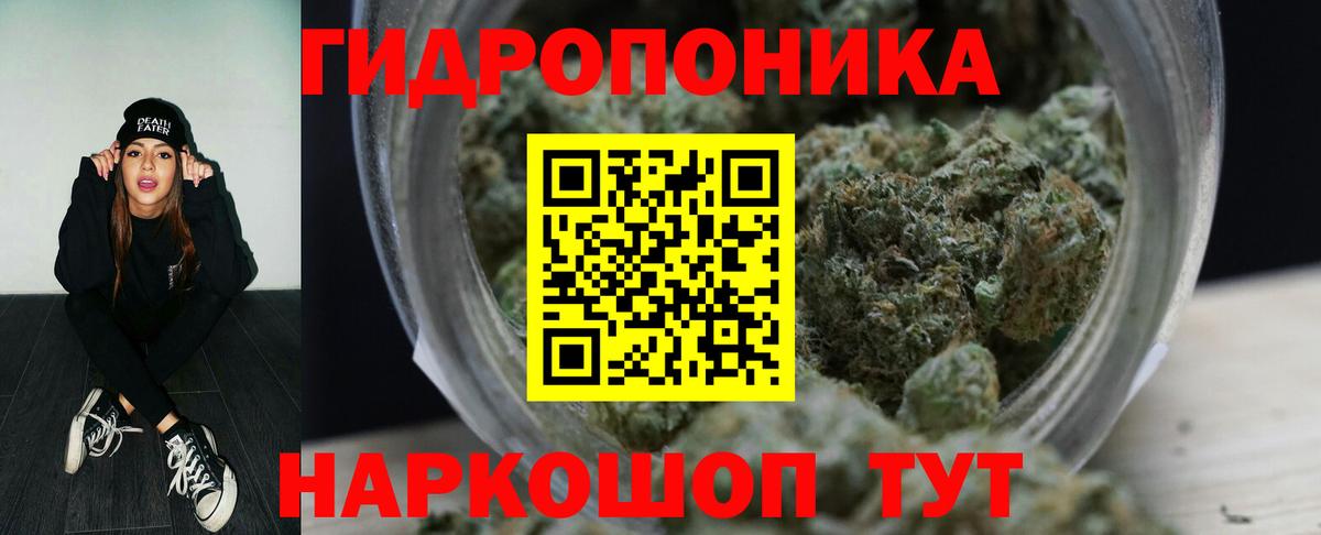 Алексеевка  Бошки Шишки ГИДРОПОН  Бошки марихуана MAZAR  Вход с VPN  Конопля планчик 
